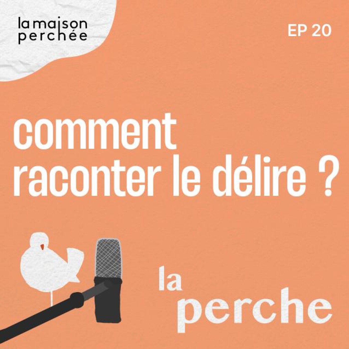 Comment raconter le délire ?