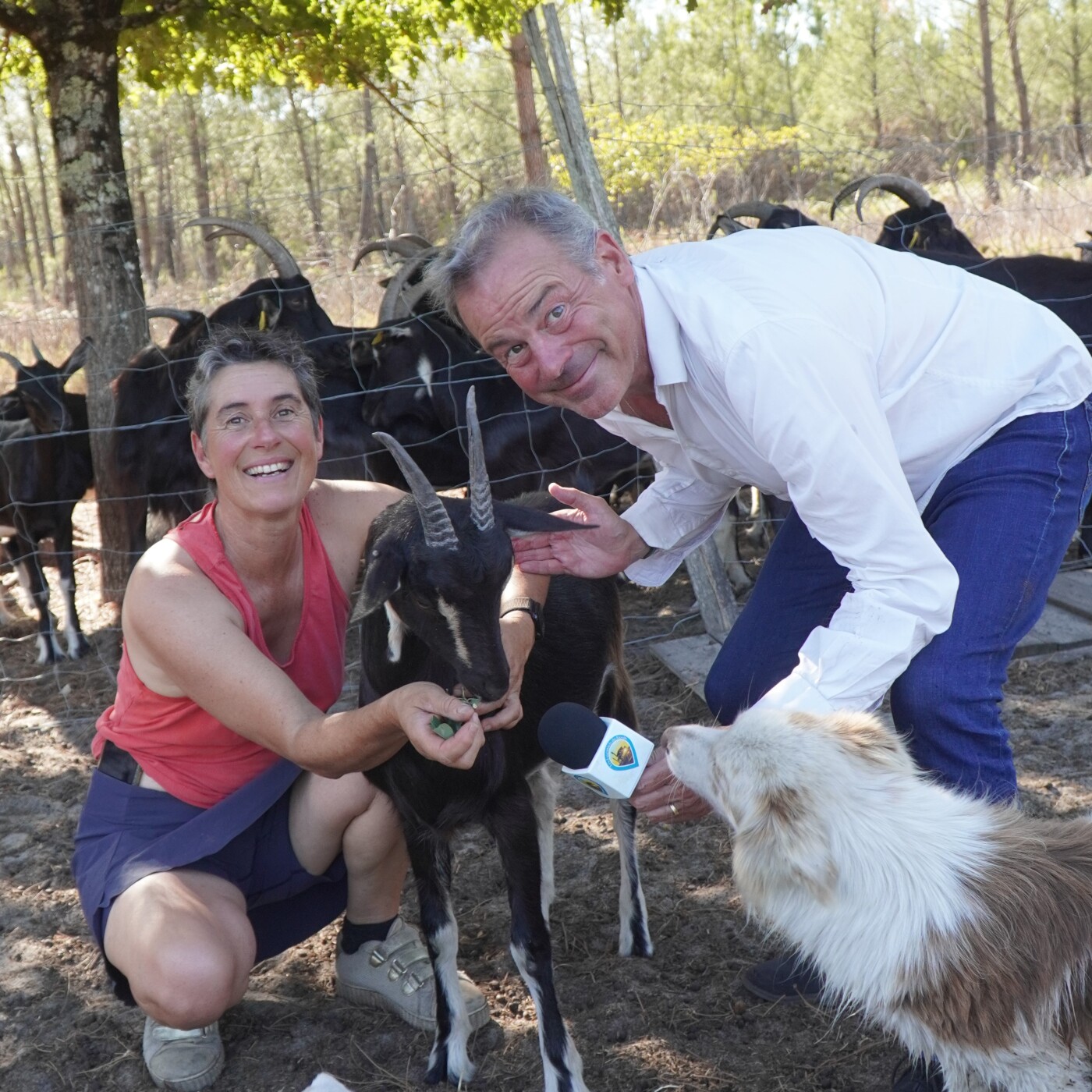 A Lugos, Séverine Cazabat est éleveuse de chèvres. Elle nous présente sa ferme, son troupeau et les fromages qu'elle produit et affine episode artwork