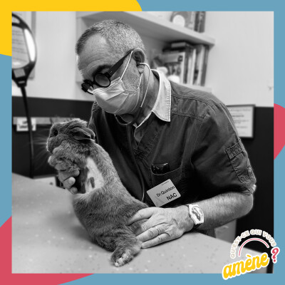 2 - Adopter un lapin ou un cochon d’inde ? cover