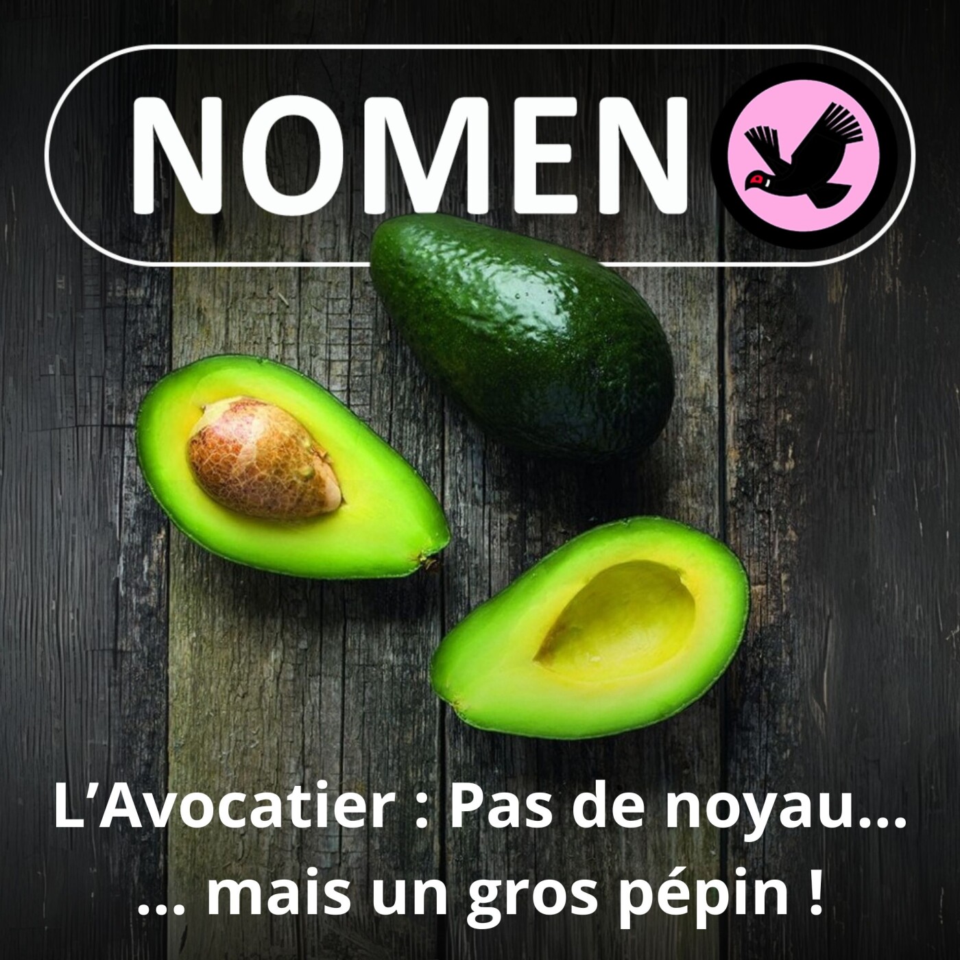 Nomen