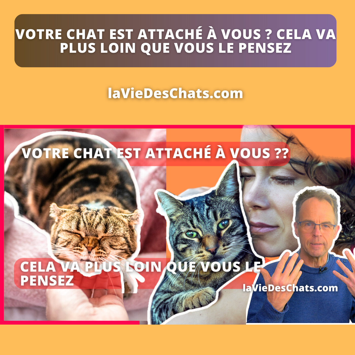 VOTRE CHAT EST ATTACHÉ À VOUS ? CELA VA PLUS LOIN QUE VOUS LE PENSEZ