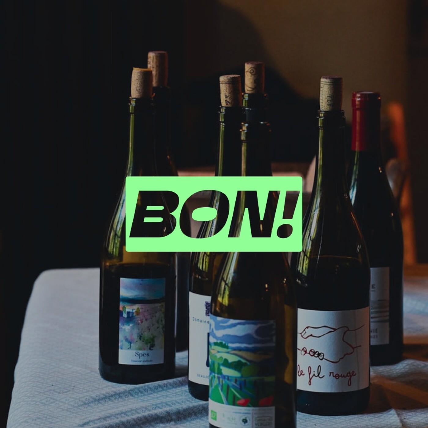 [VIN] La puissance du collectif avec les vignerons engagés de Lantignié (1)