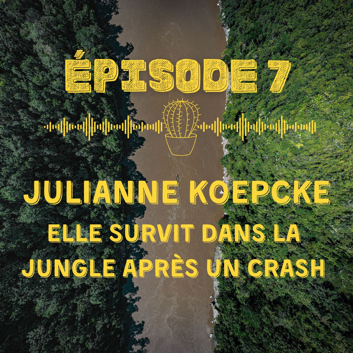 Histoire vraie : elle survit à un crash en plein coeur de la forêt amazonienne
