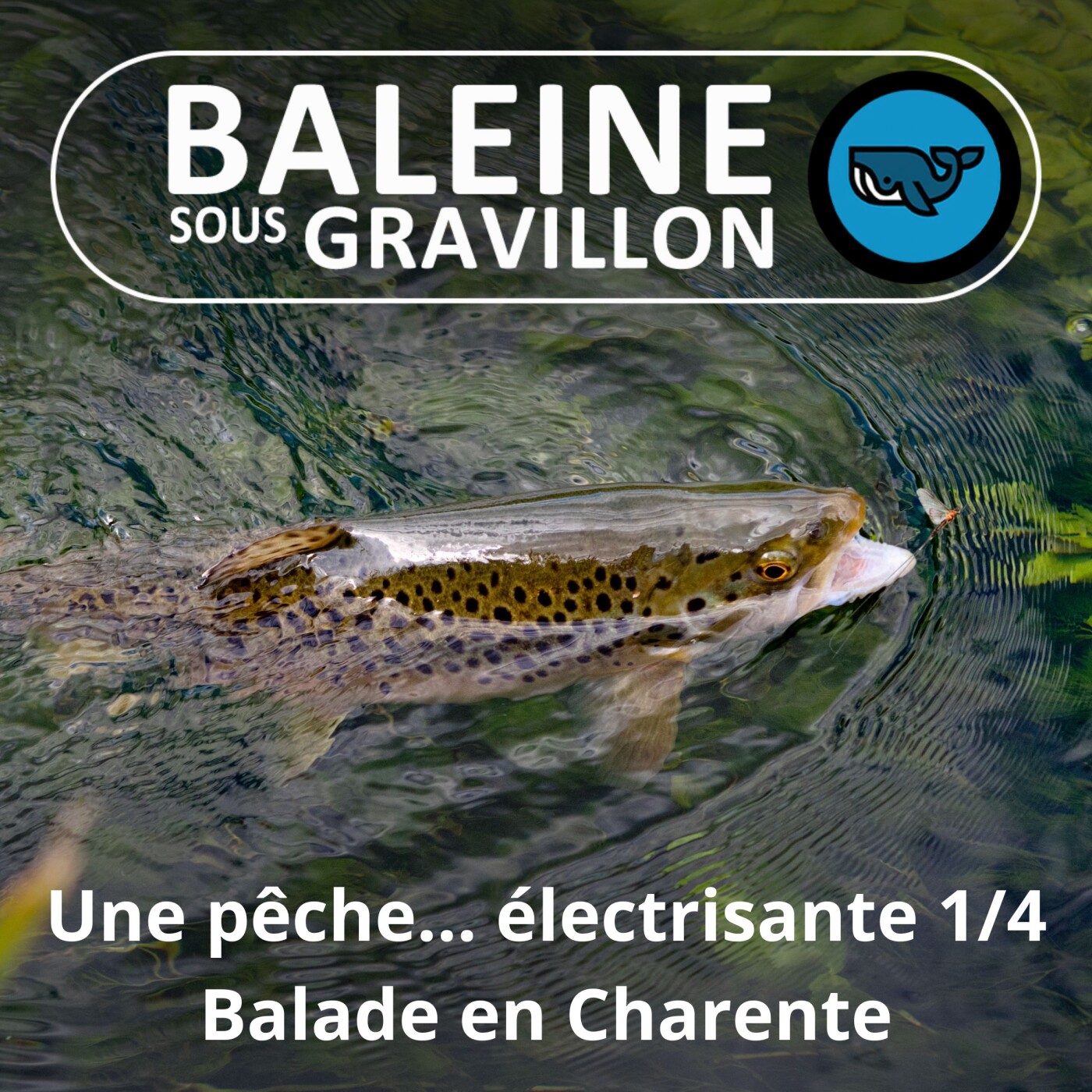 S07E131 Partie de pêche... électrisante 1/4 : Balade en Charente (Hugo Pichol)