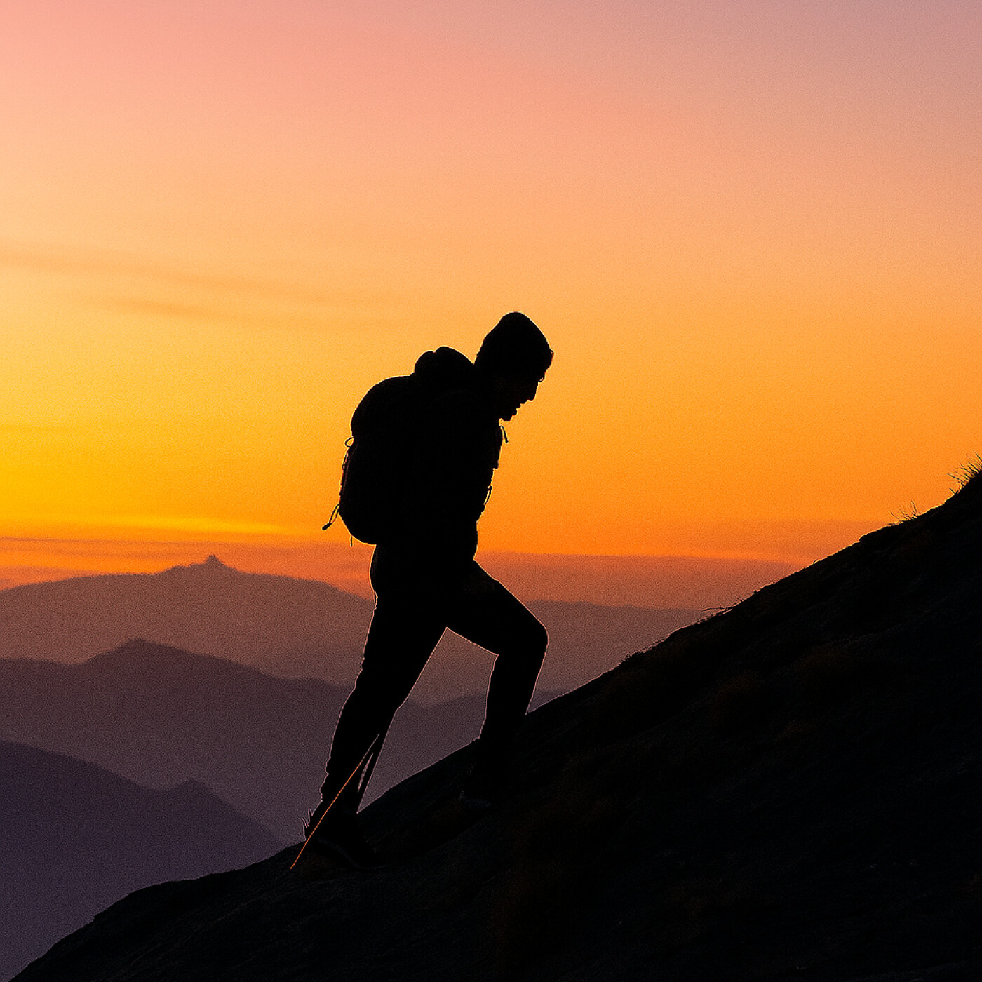 Pourquoi Je me Lève, le Sens avant le Succès