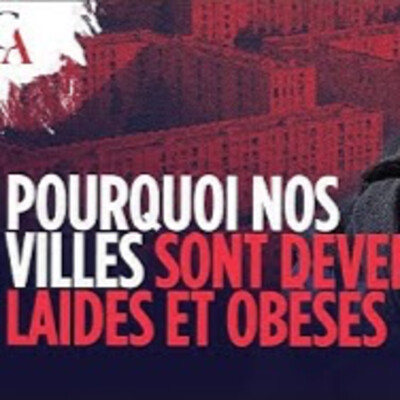Pourquoi nos villes sont devenues laides et obèses ? - P. Le Vigan - # politique cover