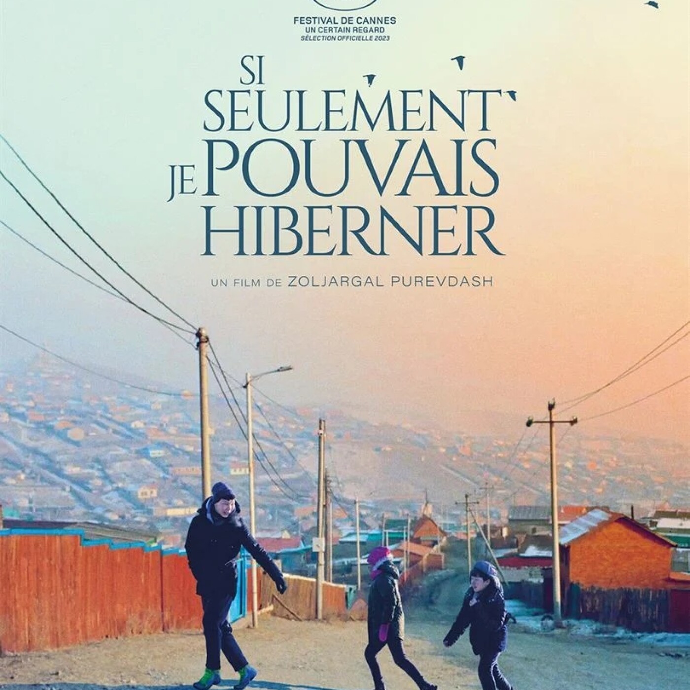 Si seulement je pouvais hiberner