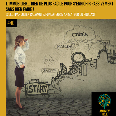 #40 [SOLO] L'immobilier... rien de plus facile pour s'enrichir passivement sans rien faire ! cover