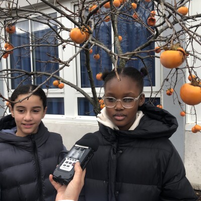 01 Auguste Rodin cover