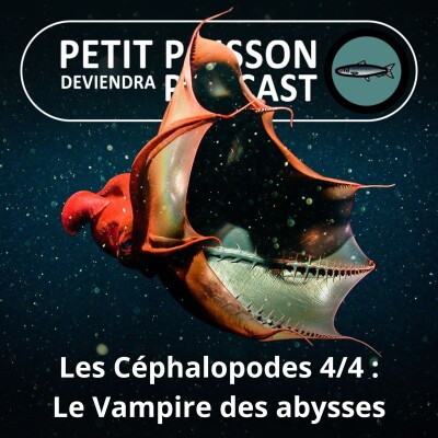 Show cover