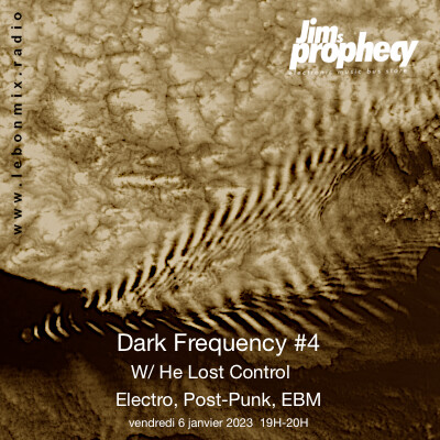 HE LOST CONTROL - Dark Frequency #4 cover