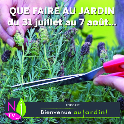 QUE FAIRE AU JARDIN DU 31 JUILLET AU 7 AOÛT ? cover