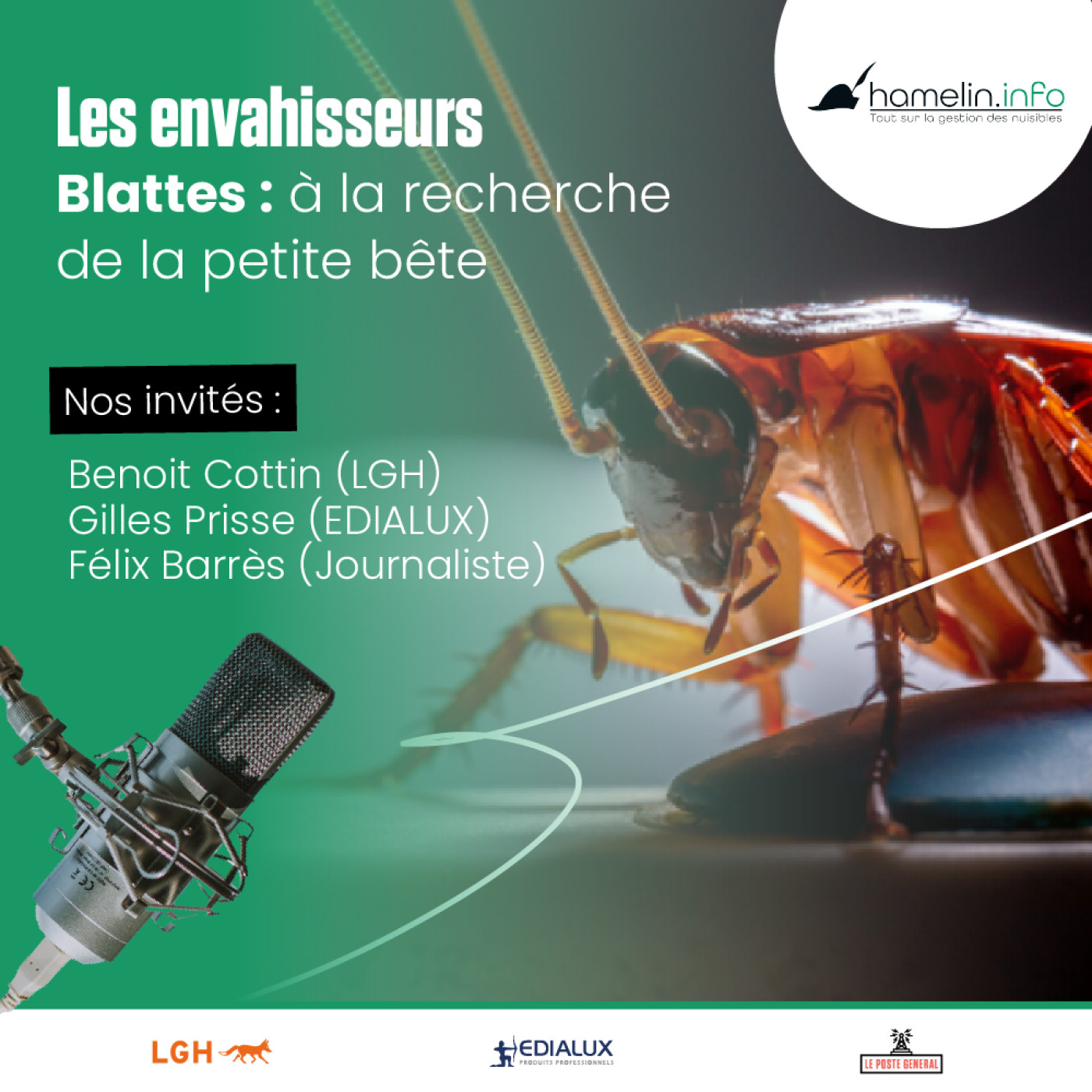 Les Petits rats d\'Hamelin