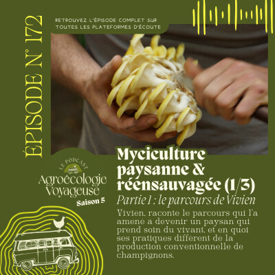 #172 Kebell Touseg 🍄 Ferme Mycicole Paysanne & Réensauvagée (1/3) Le parcours de Vivien pour devenir paysan cover