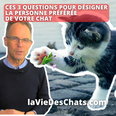 3 questions pour désigner la personne préférée de votre chat cover