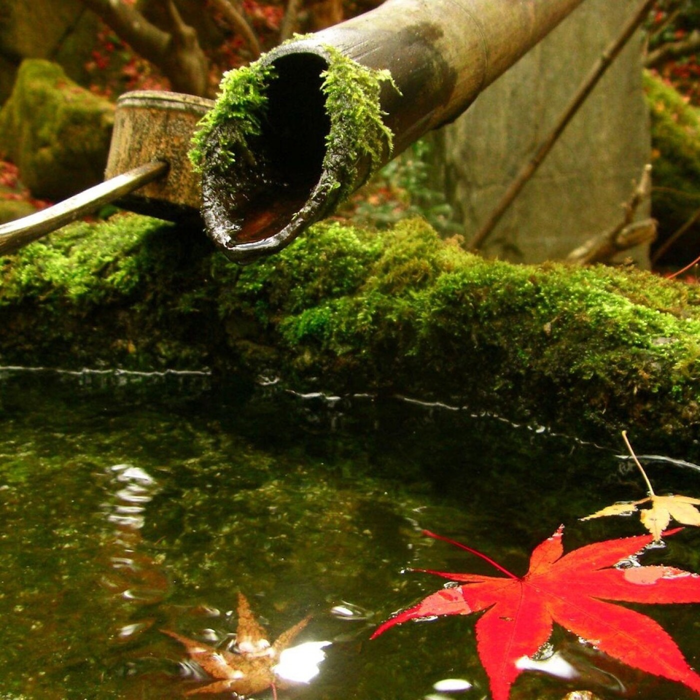 Pourquoi Je me Lève, le Sens avant le Succès