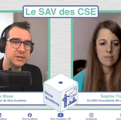11 - Le SAV des CSE Les RH restent des gens majoritairement bien.  avec Sophie Flamant ex DRH cover