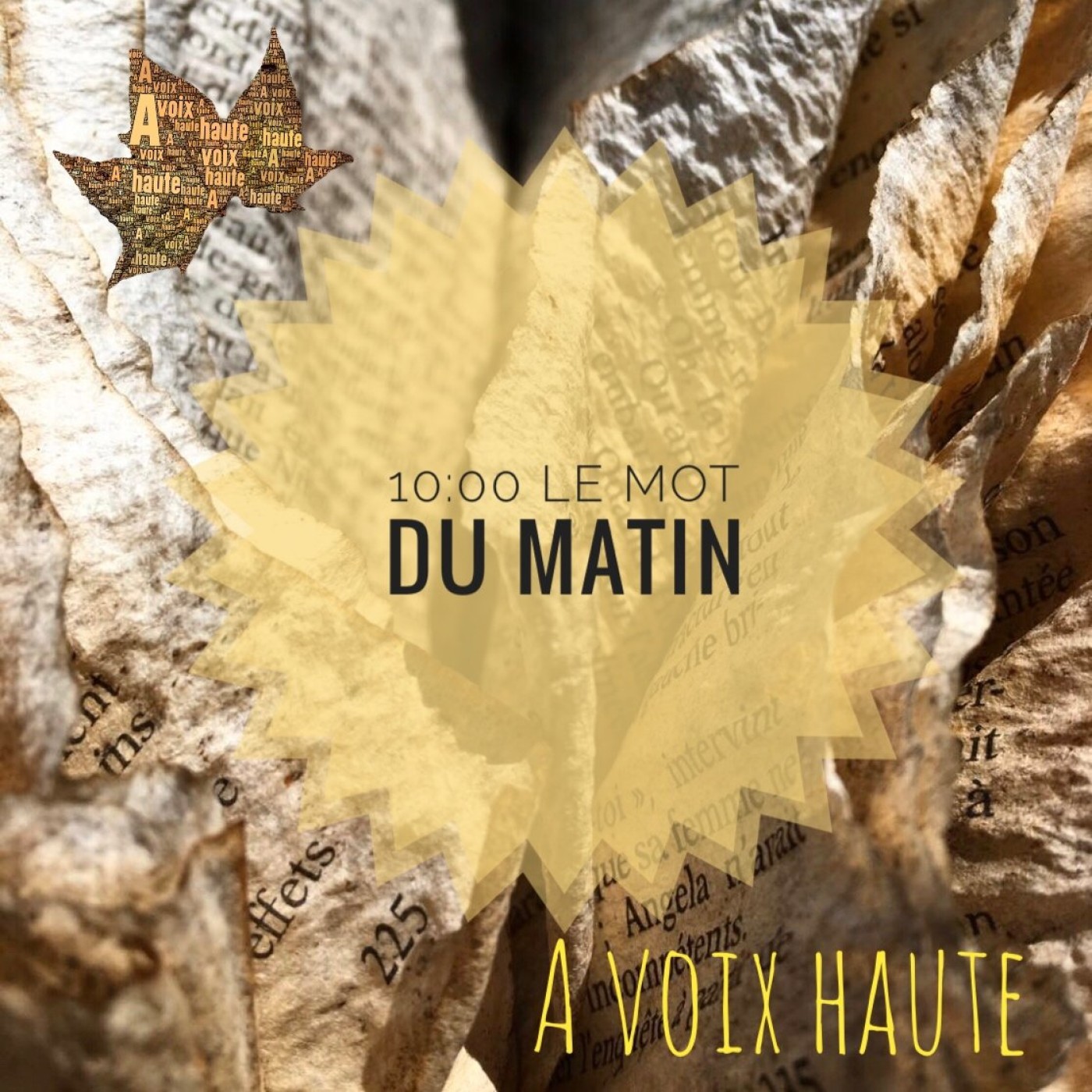 23 - LE MOT DU MATIN -Emile Zola - yannick Debain..