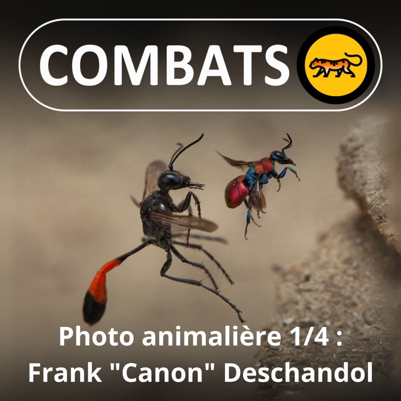 S02E46 Profession photographe animalier 1/4 : Itinéraire, Frank "Canon" Deschandol