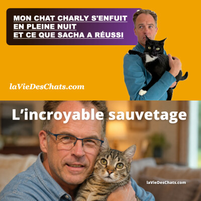 MON CHAT CHARLY S'ENFUIT EN PLEINE NUIT ET CE QUE SACHA A RÉUSSI cover