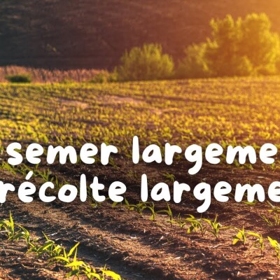 Parole et Évangile du jour | Jeudi 10 août • à semer largement, on récolte largement ! cover