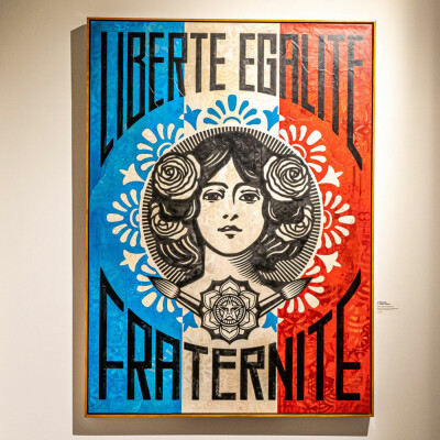 6 - Paris vitrine cover