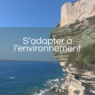 S'adapter à l'environnement cover