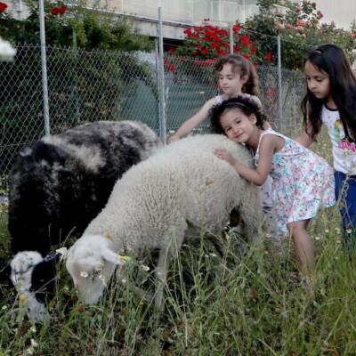 Un été 2020 à Neppert cover