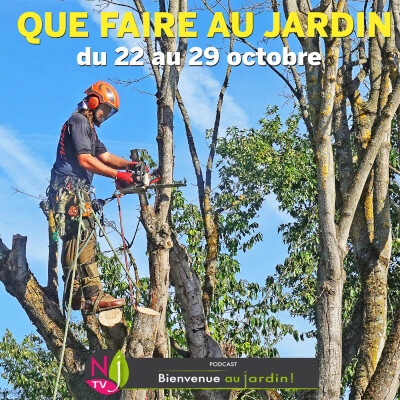 QUE FAIRE DANS LE JARDIN DU 22 AU 29 OCTOBRE ? cover