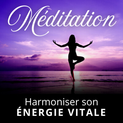 Méditation Guidée | Harmoniser son ÉNERGIE VITALE cover