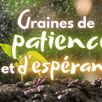 Parole et Évangile du jour | Mardi 31 octobre • La grâce • Annonce cover