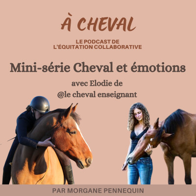 31. [mini-serie] # La place des émotions dans notre relation avec notre cheval avec Elodie Hammiche cover