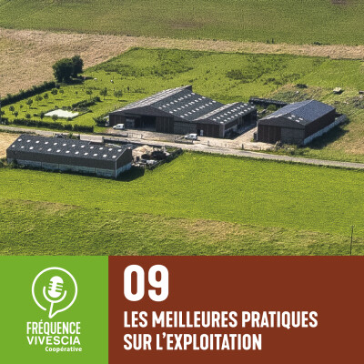 Episode 9 - L'importance de réaliser un échantillonnage fiable ? cover