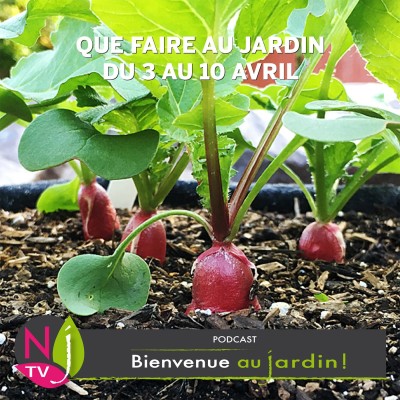 QUE FAIRE AU JARDIN DU 3 AU 10 AVRIL ? cover
