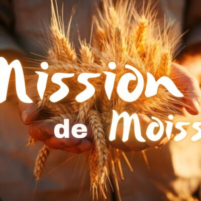 Parole et Évangile du jour | Mercredi 18 octobre • St Luc & ANNONCE cover