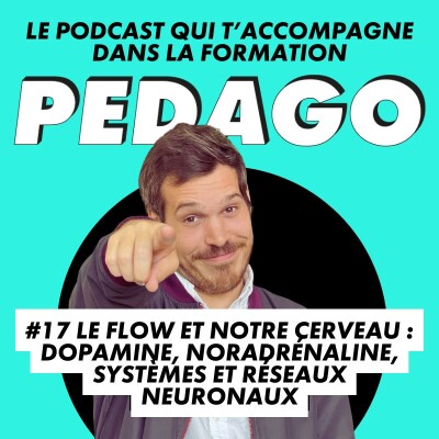 #17 Le flow et notre cerveau : dopamine, noradrénaline, systèmes et réseaux neuronaux cover