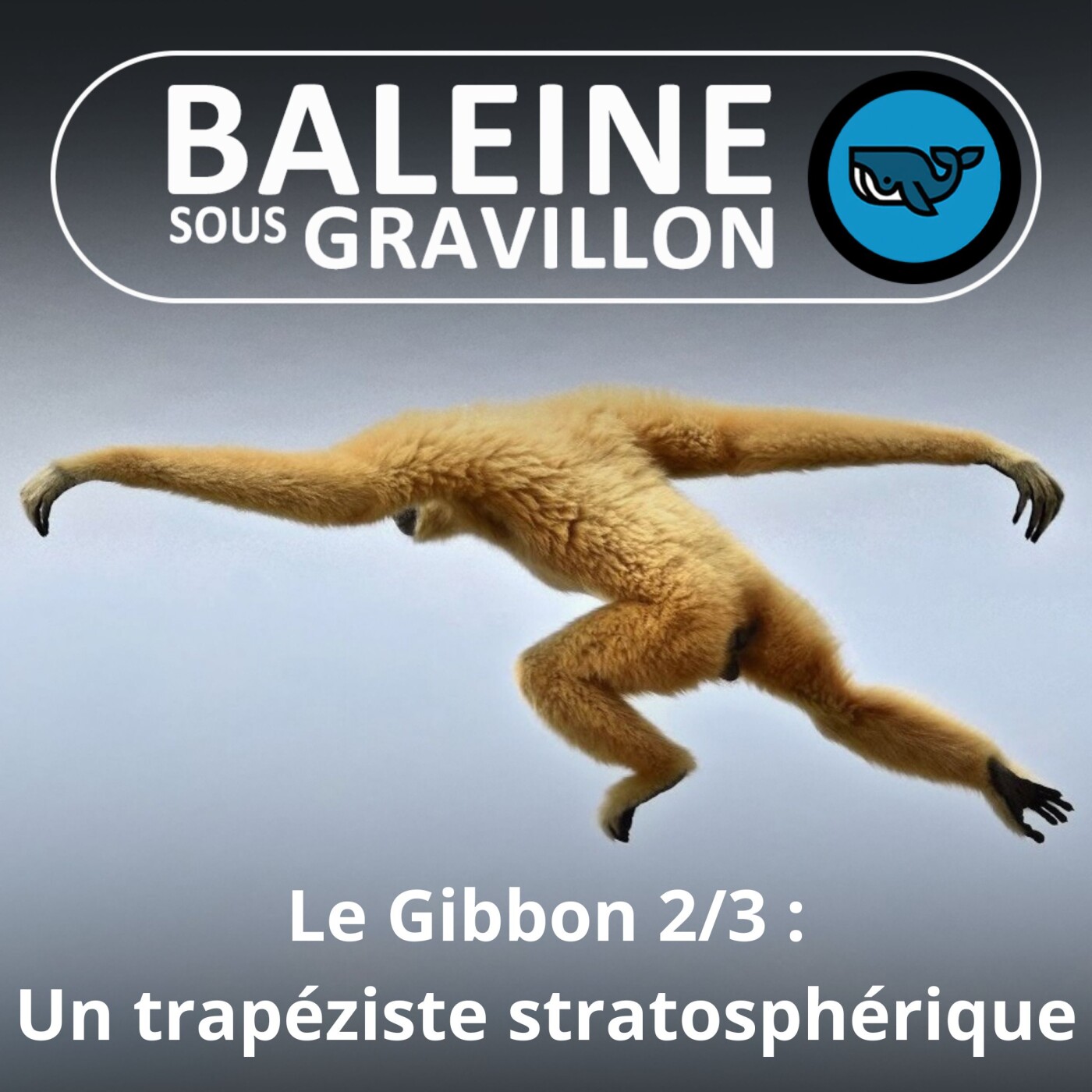 Baleine sous Gravillon