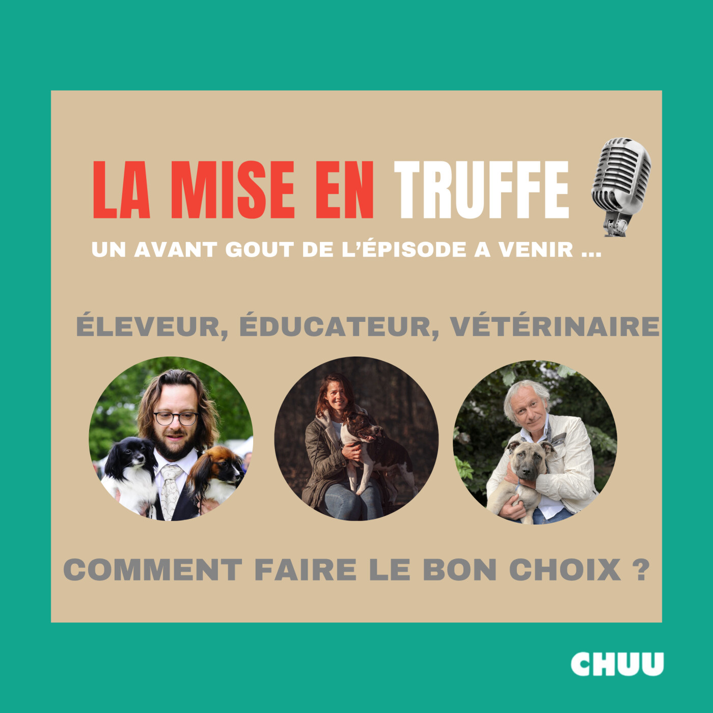 [MISE EN TRUFFE] Comment choisir les meilleurs professionnels pour votre chien ?