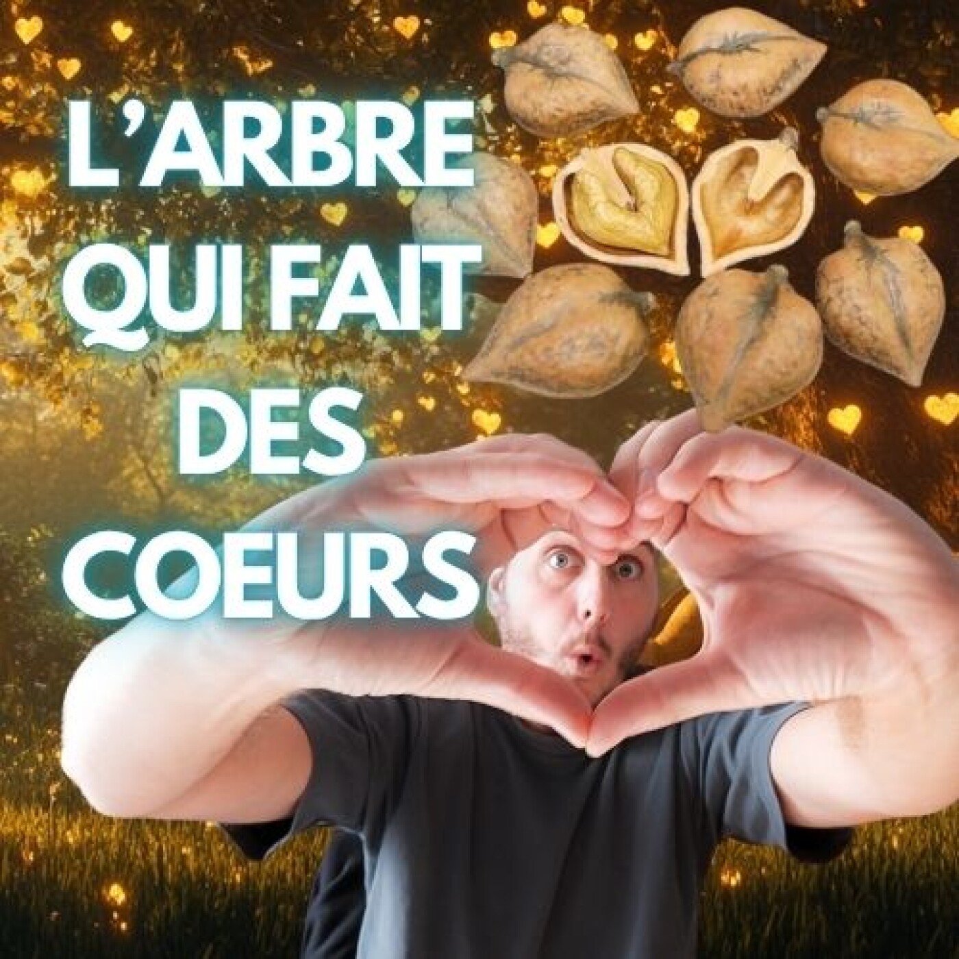 L’arbre qui fait des coeurs – Noyer du Japon