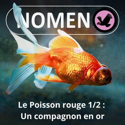 S05E15 Le Poisson rouge 1/2 : Le non-agité du bocal cover