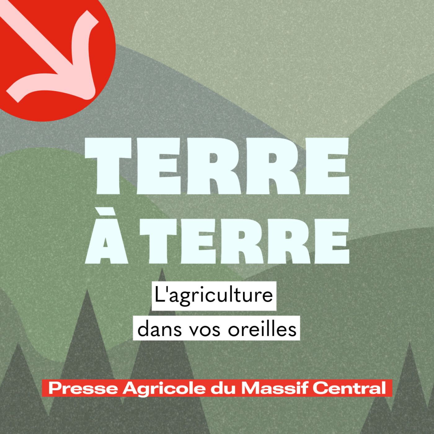 Terre à Terre