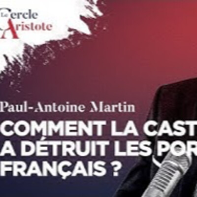 Comment la caste a coulé nos ports ? - P.A. Martin - # politique cover