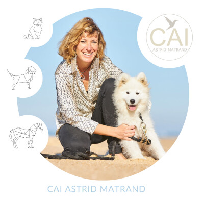 J’ai un chien qui a été maltraité , qui a peur de la laisse comment faire? Oscar et Anne cover