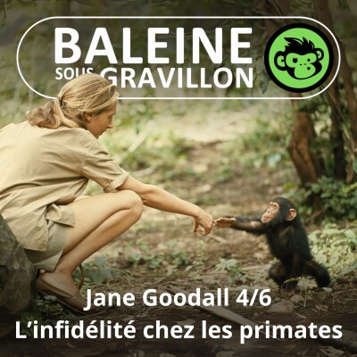 S07E24 Jane Goodall 4/6 : De l'infidélité chez les primates (Emmanuelle Grundmann) cover