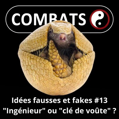 S06E13 Idées fausses : Espèce ingénieure ou clé de voûte ? cover