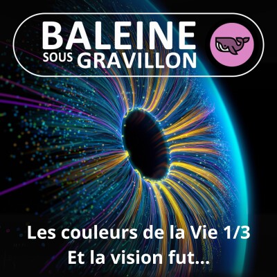 S07E18 Les couleurs de la Vie 1/3 : Pourquoi et comment la vision est apparue dans une Vie aveugle à l'origine ? (Frédéric Archaux) cover