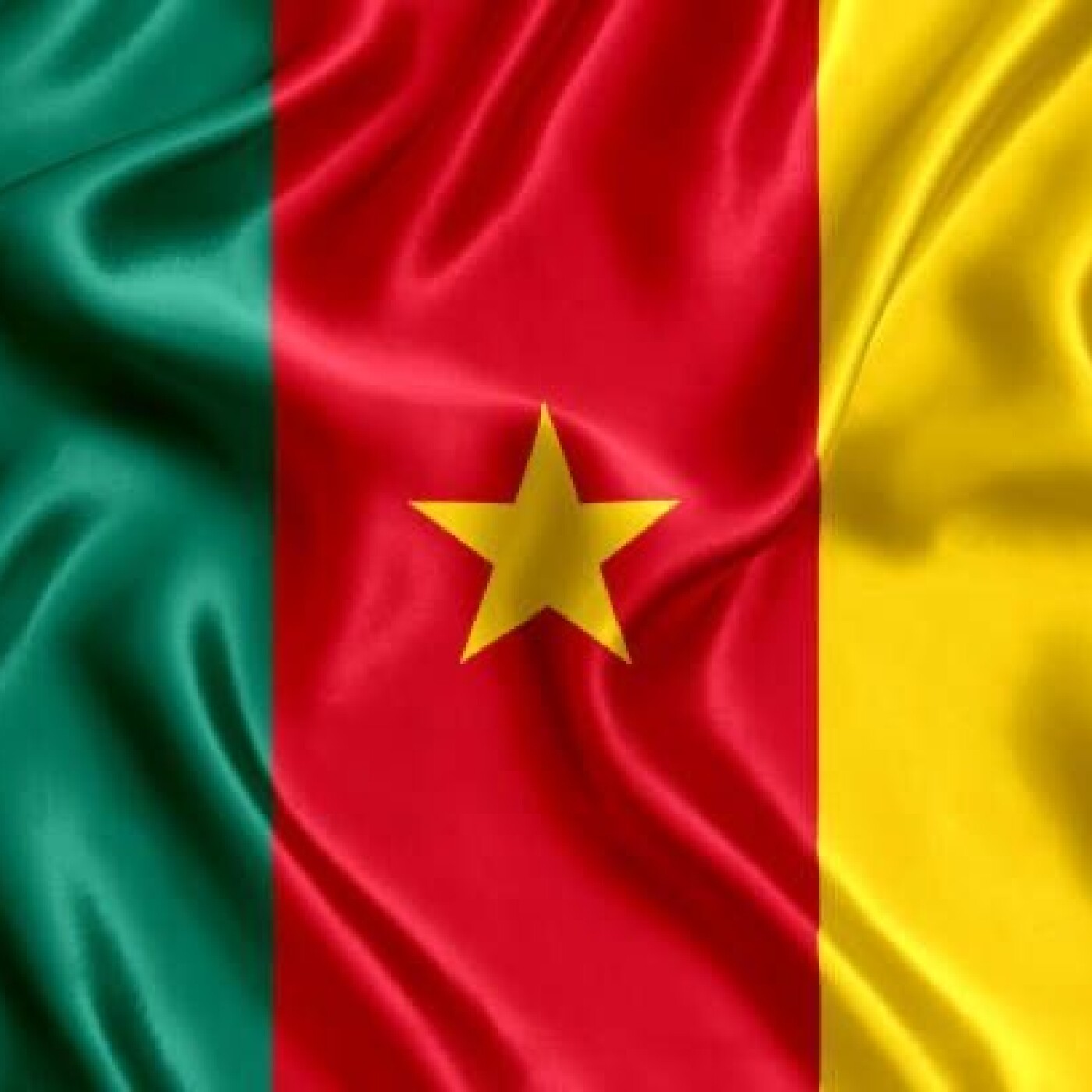 CAN 2024 : Les Lions Indomptables 🇨🇲