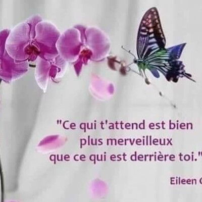 RDC 15 - Gestion du Temps cover