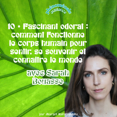 10 • Fascinant odorat : comment fonctionne le corps humain pour sentir, se souvenir et connaître le monde – avec Sarah Bouasse cover