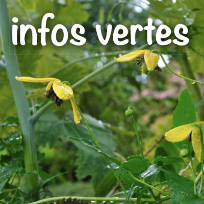 Activités vertes proposées par la ville de Lourdes et le C.P.I.E de Bagnères cover